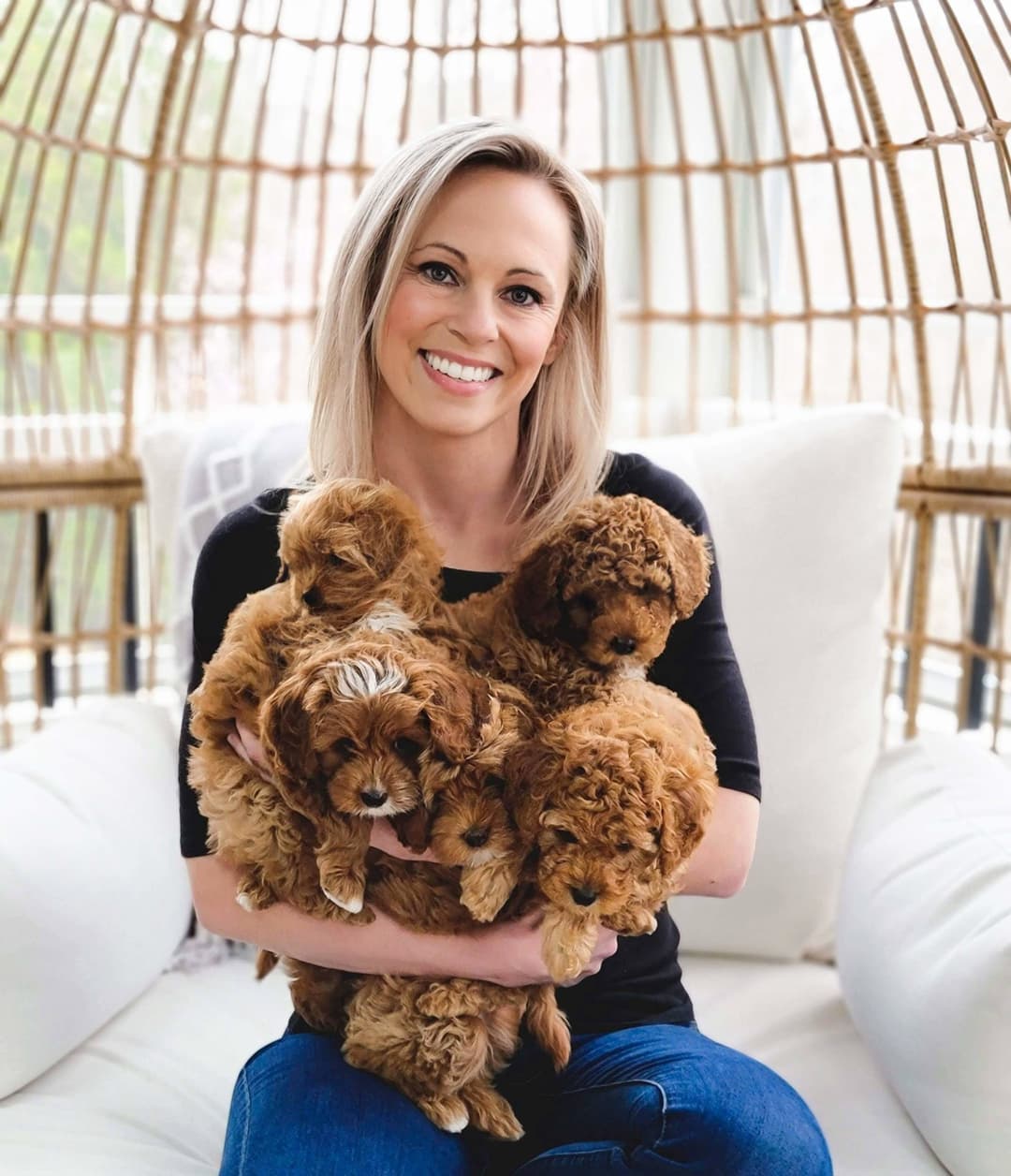 Carolina Springs Breeding with Cavapoo puppy