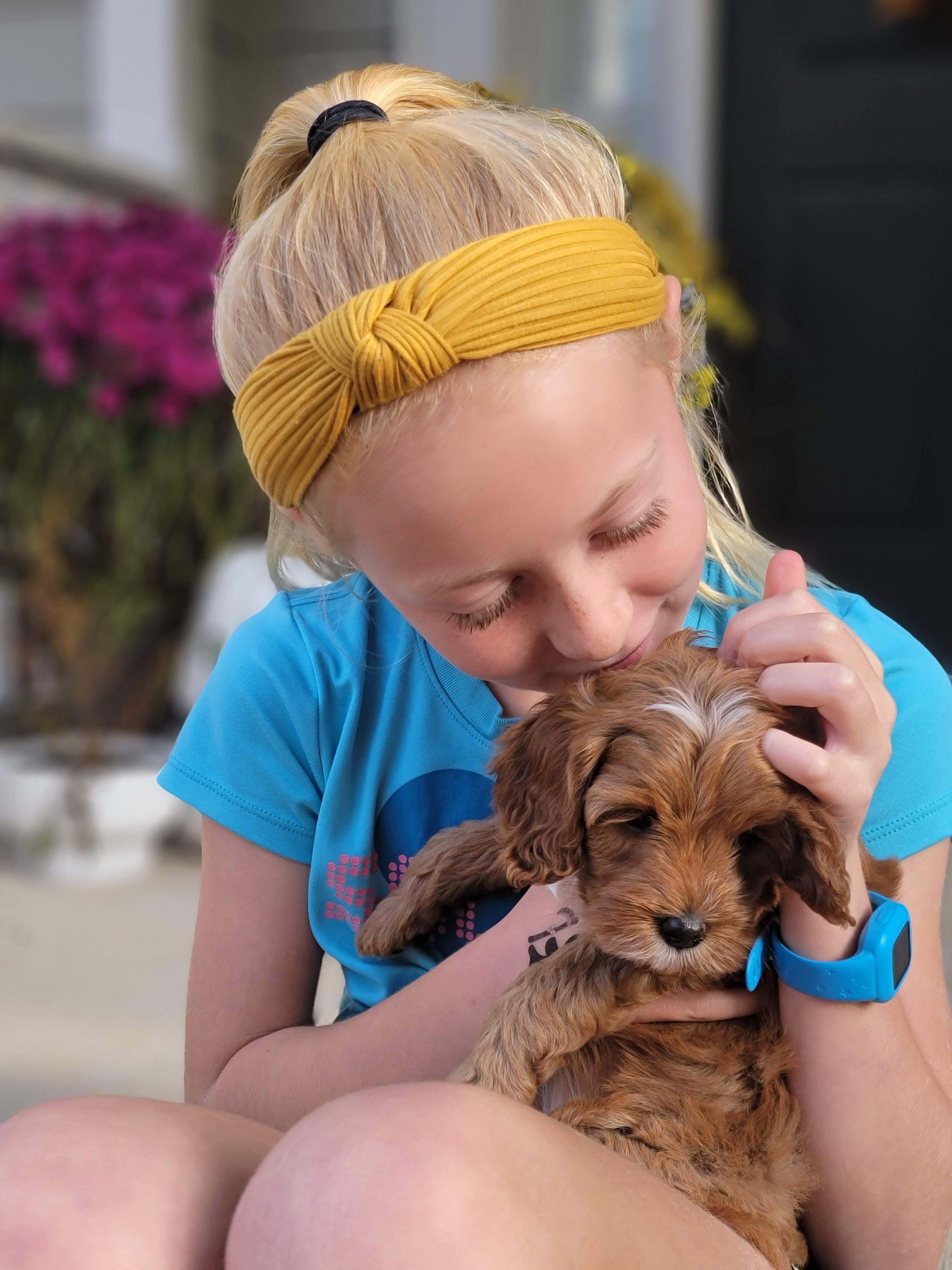 Young girl cuddling lovingly with her Cavapoo puppy from Carolina Springs Breeding