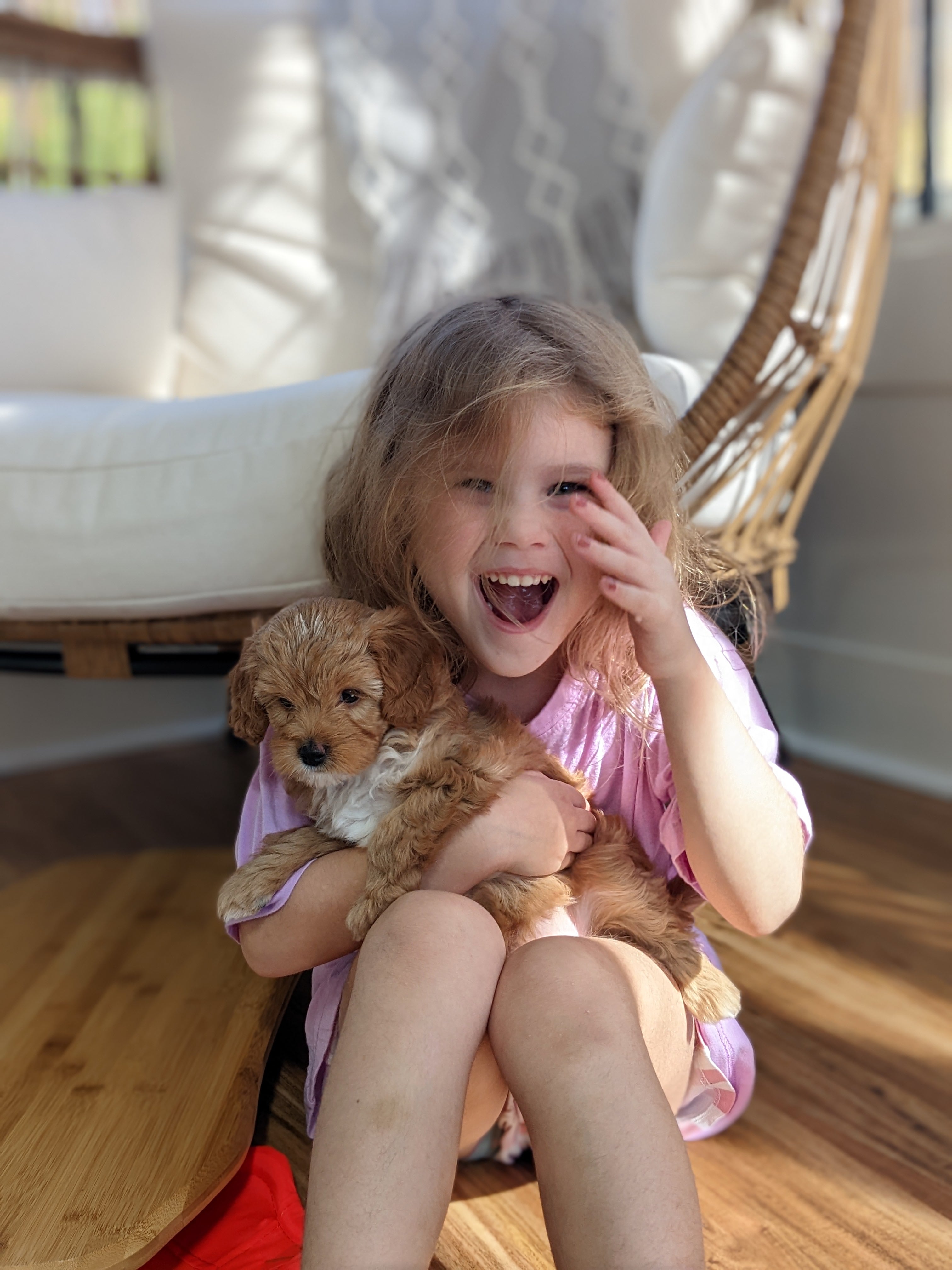 Young girl bonding with her new Cavapoo puppy from Carolina Springs Breeding